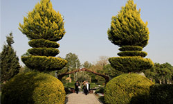 تکمیل باغ هشت بهشت  برای ثبت در فهرست باغ‌های ایرانی